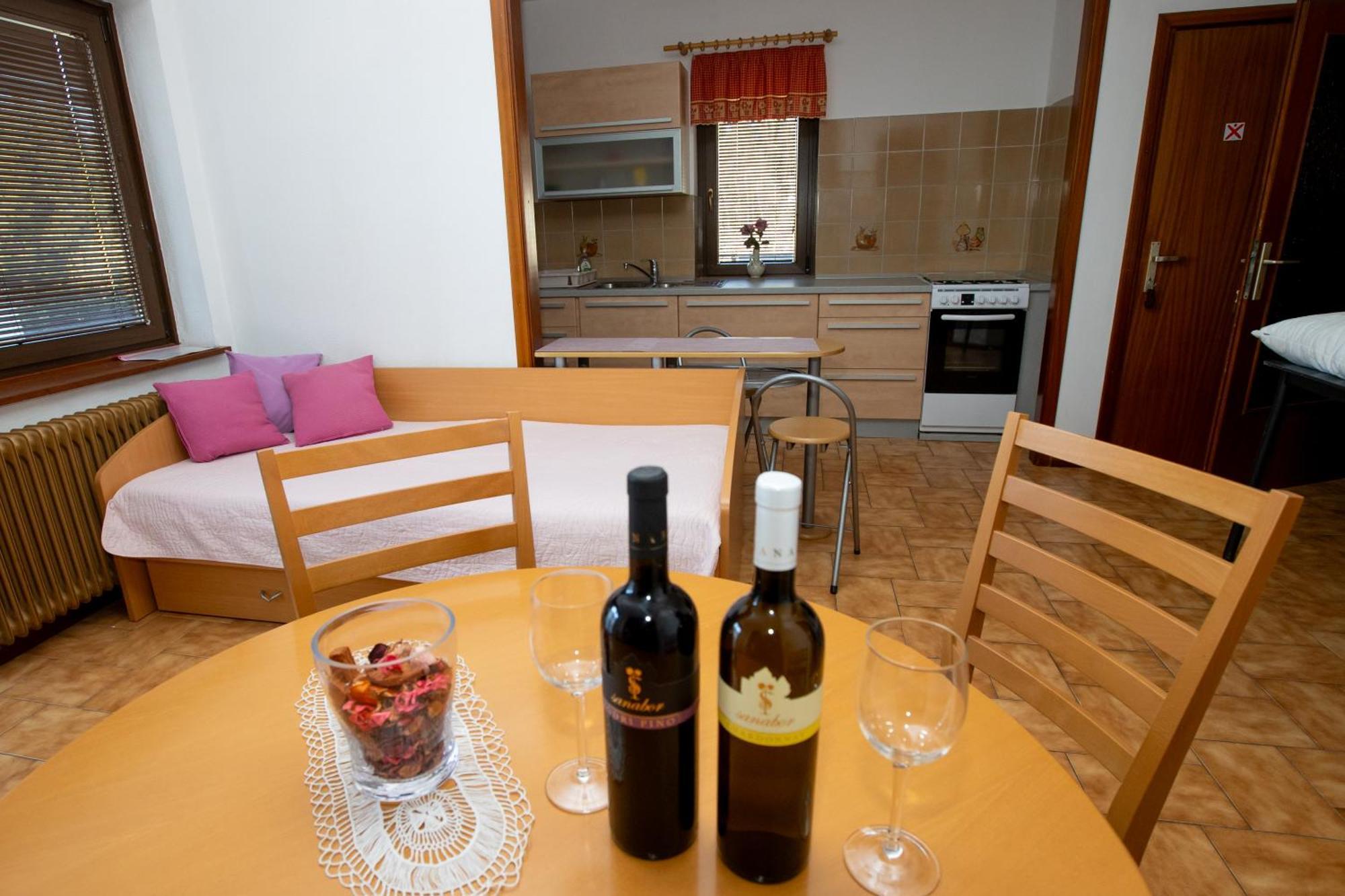 Guesthouse Sanabor Postojna Exterior photo